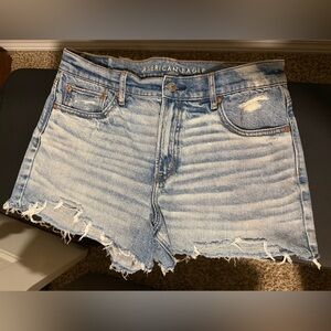 American Eagle Outfitters Light Blue Frayed Jean Shorts